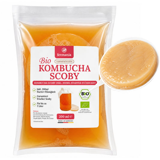 Kombucha Teepilz- Scoby inkl. Ansatzflüssigkeit