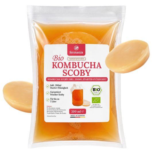 Kombucha Premium Starter Set mit Kombucha Teepilz (SCOBY) + Zubehör
