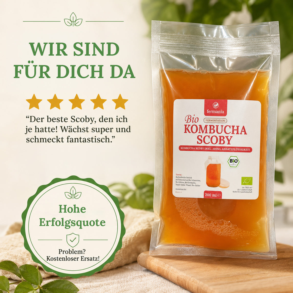 Kombucha Starterset Premium – 2 Kulturen & großer Zutatenvorrat