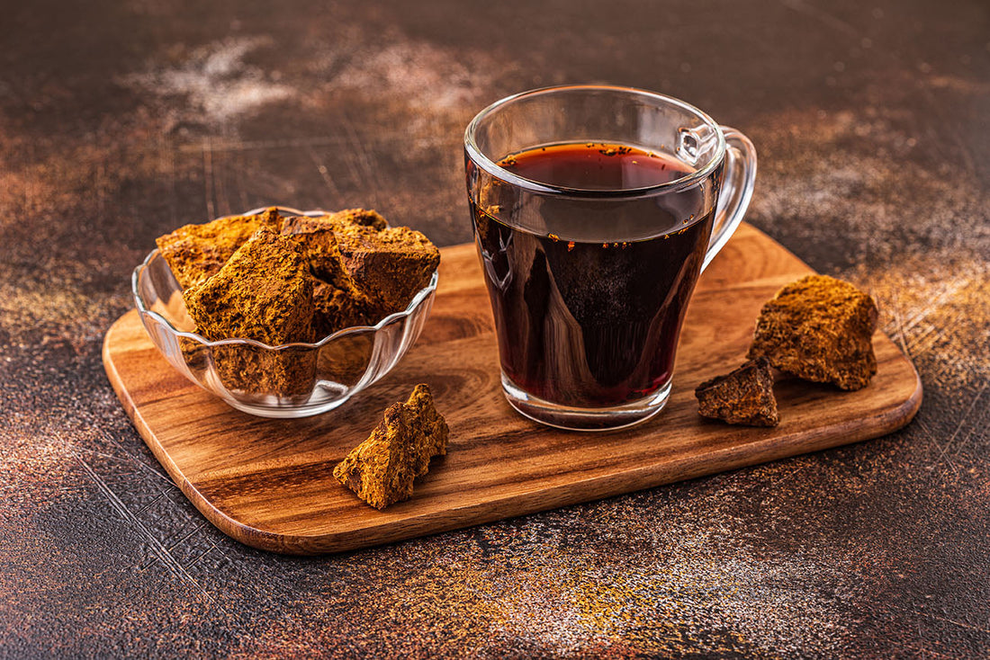 Chaga Tee Zubereitung in einem Glas