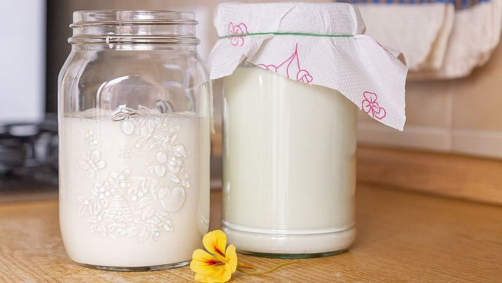 Kefir laktosefrei Anleitung