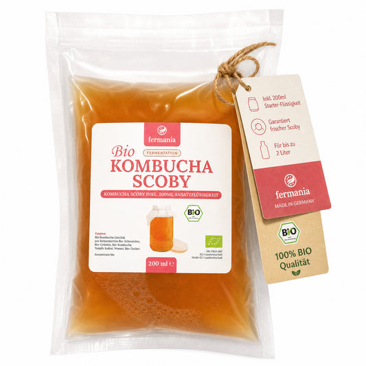 Kombucha Teepilz- Scoby inkl. Ansatzflüssigkeit