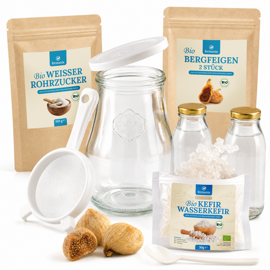 Wasserkefir Starter Set- Wasserkefir selber machen mit Japankristallen + Zubehör