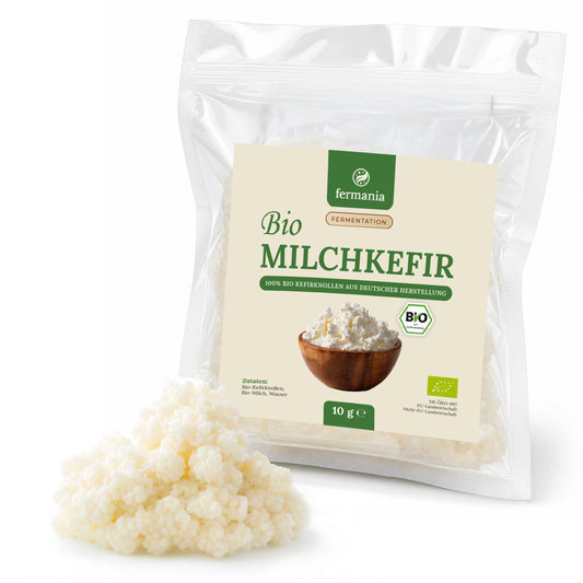 Bio Kefir-Knollen - Milchkefirknollen für leckeres Milchkefir-Getränk
