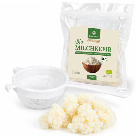 Bio Kefir-Knollen - Milchkefirknollen für leckeres Milchkefir-Getränk