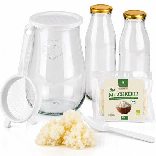 Milchkefir Starter Set – Milchkefir selber machen mit Bio-Kefirknollen + Zubehör
