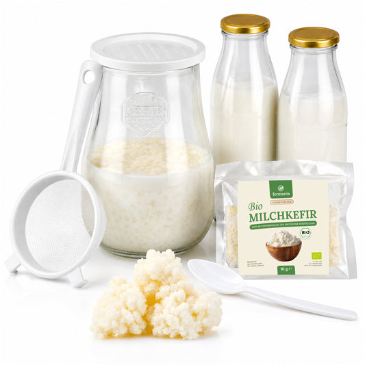 Milchkefir Starter Set – Milchkefir selber machen mit Bio-Kefirknollen + Zubehör