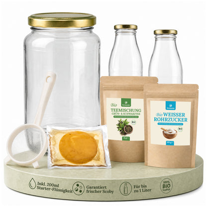 Kombucha Starter Set - selber machen mit Kombucha Teepilz (SCOBY) + Zubehör