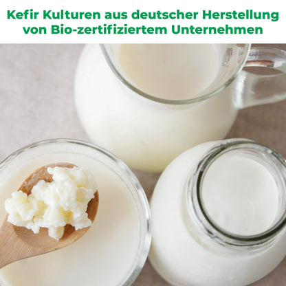 Milchkefir Starter Set – Milchkefir selber machen mit Bio-Kefirknollen + Zubehör