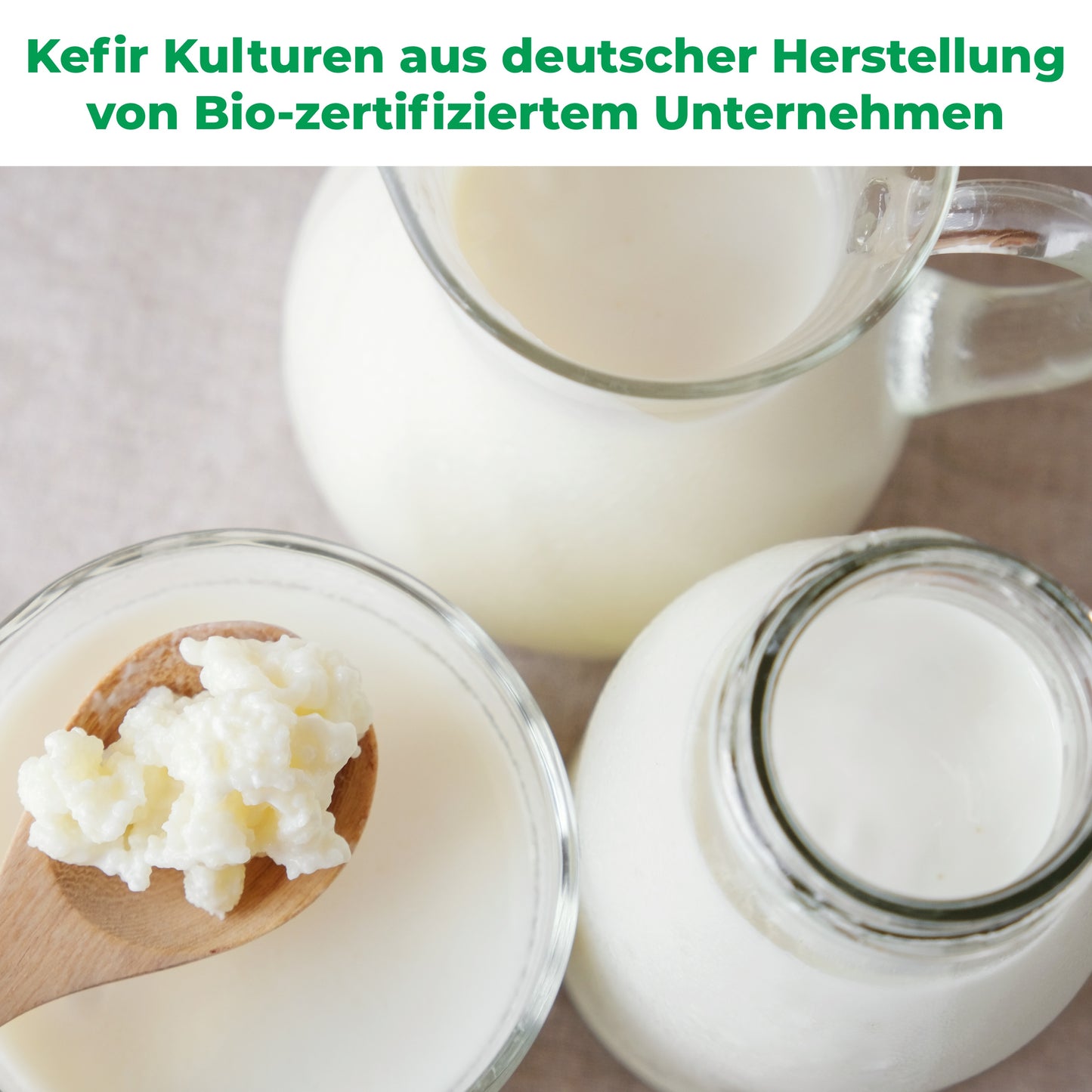 Bio Kefir-Knollen - Milchkefirknollen für leckeres Milchkefir-Getränk