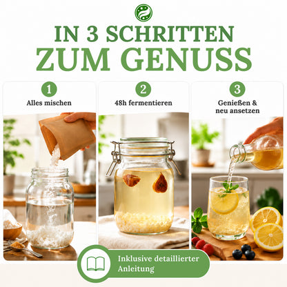 Wasserkefir Starter Set Premium- Wasserkefir selber machen mit Japankristallen + Zubehör