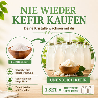 Wasserkefir Starter Set Premium- Wasserkefir selber machen mit Japankristallen + Zubehör