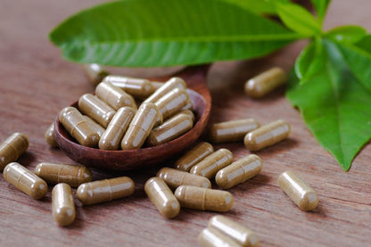 Chaga Softgel Kapseln | Vitalpilz aus Wildsammlung