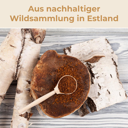 Chaga Pulver aus baltischer Vitalpilz-Wildsammlung