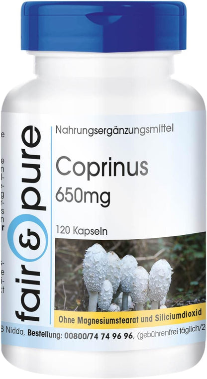 Coprinus Comatus Kapseln | 650mg 120 Stück