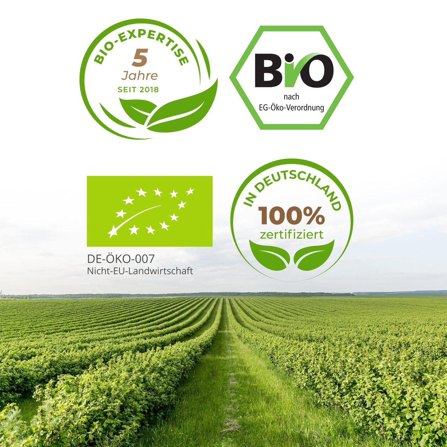 Bio Gerstengras Kapseln 180 Stück