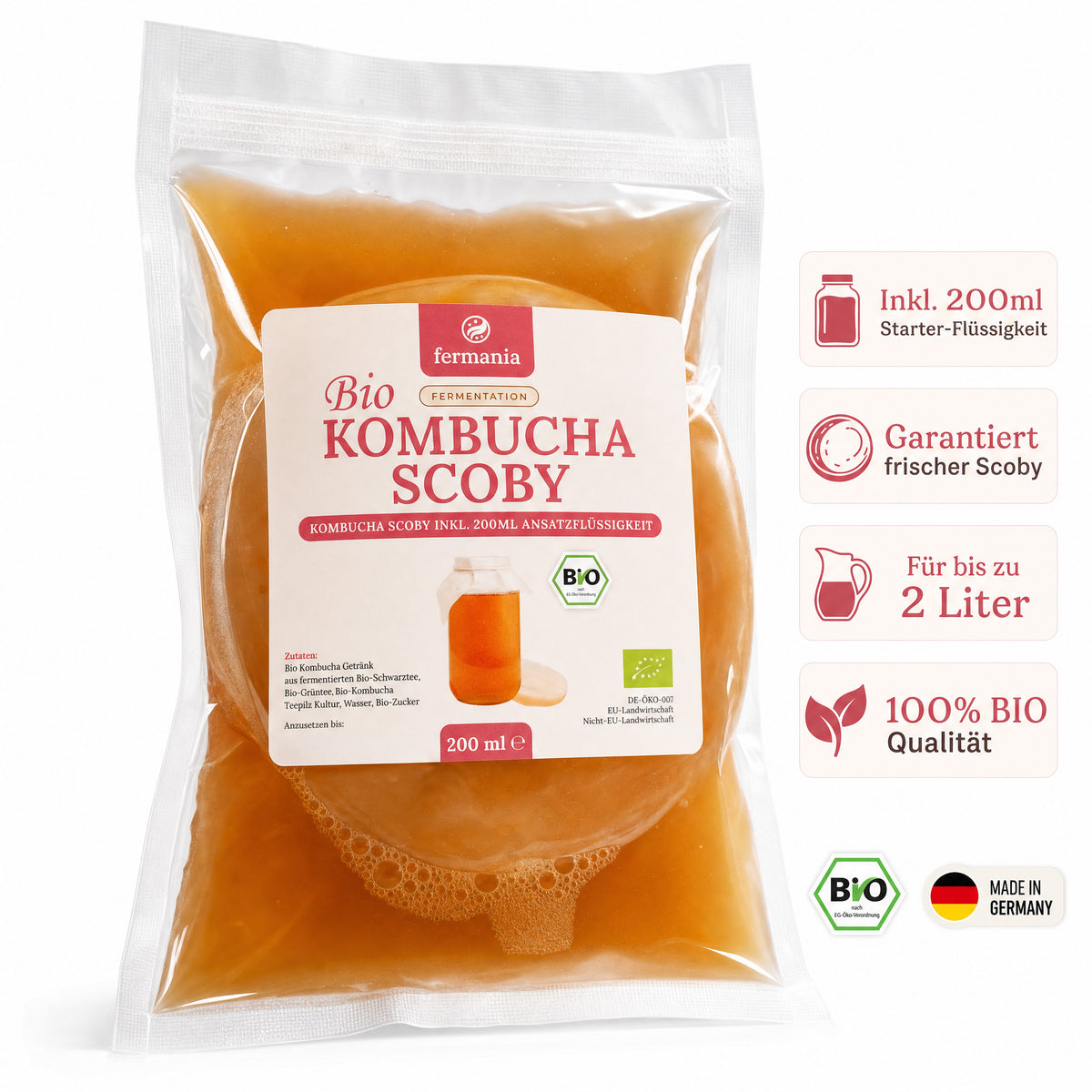 Kombucha Starter Set - selber machen mit Kombucha Teepilz (SCOBY) + Zubehör