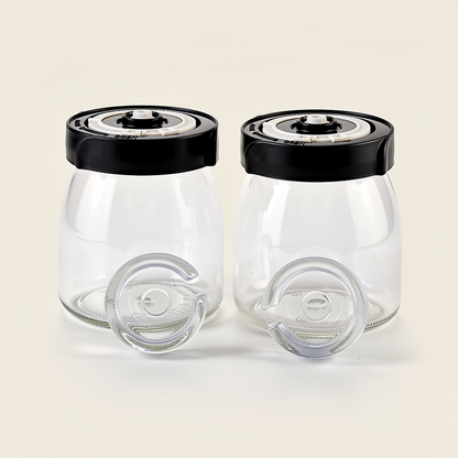 Fermentationsset mit 2 Gläsern à 750 ml – Starterset zum Fermentieren von Gemüse