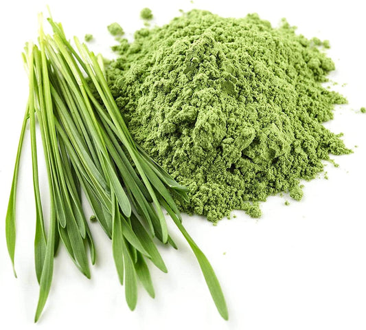 Bio Gerstengraspulver Sparvorrat