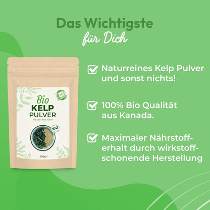 Kelp Pulver 250g | Bio Kelp Algen