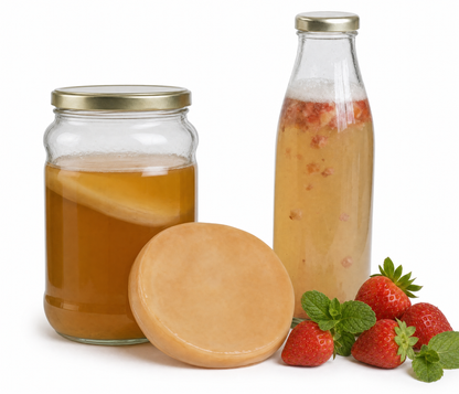 Kombucha Starter Set - selber machen mit Kombucha Teepilz (SCOBY) + Zubehör
