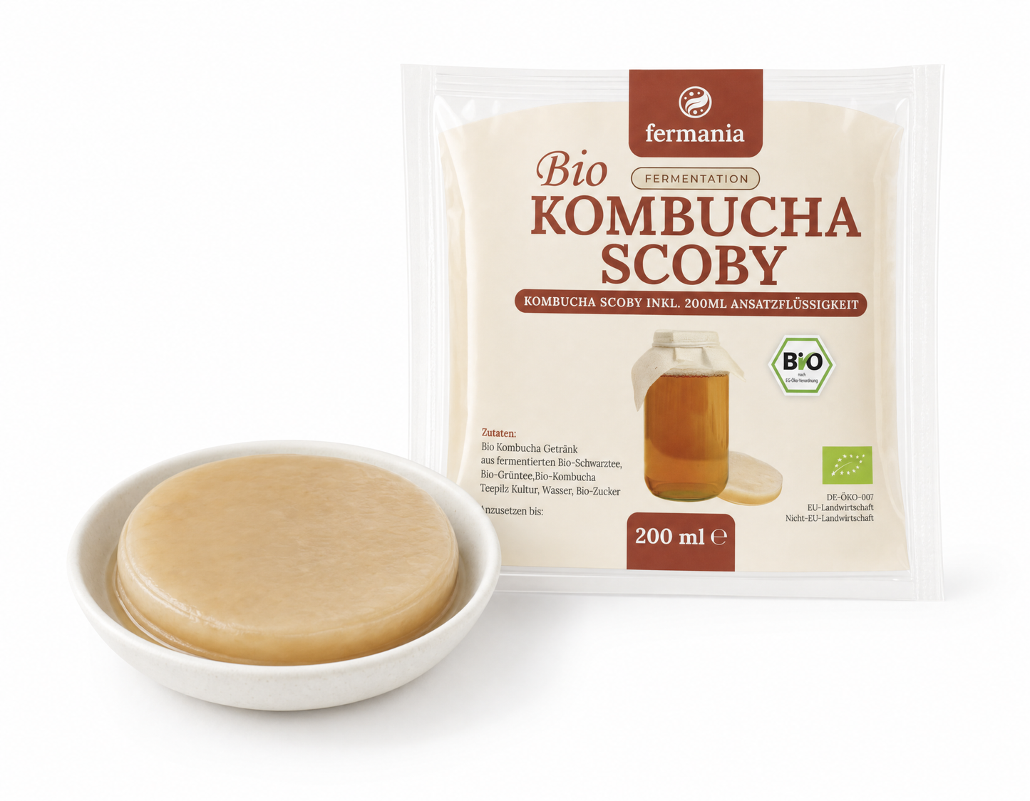 Kombucha Teepilz- Scoby inkl. Ansatzflüssigkeit
