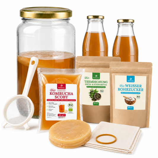 Kombucha Starter Set - selber machen mit Kombucha Teepilz (SCOBY) + Zubehör