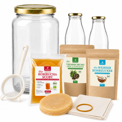 Kombucha Starter Set - selber machen mit Kombucha Teepilz (SCOBY) + Zubehör