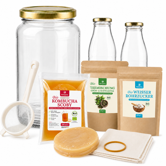 Kombucha Starter Set - selber machen mit Kombucha Teepilz (SCOBY) + Zubehör