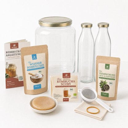 Kombucha Starter Set - selber machen mit Kombucha Teepilz (SCOBY) + Zubehör