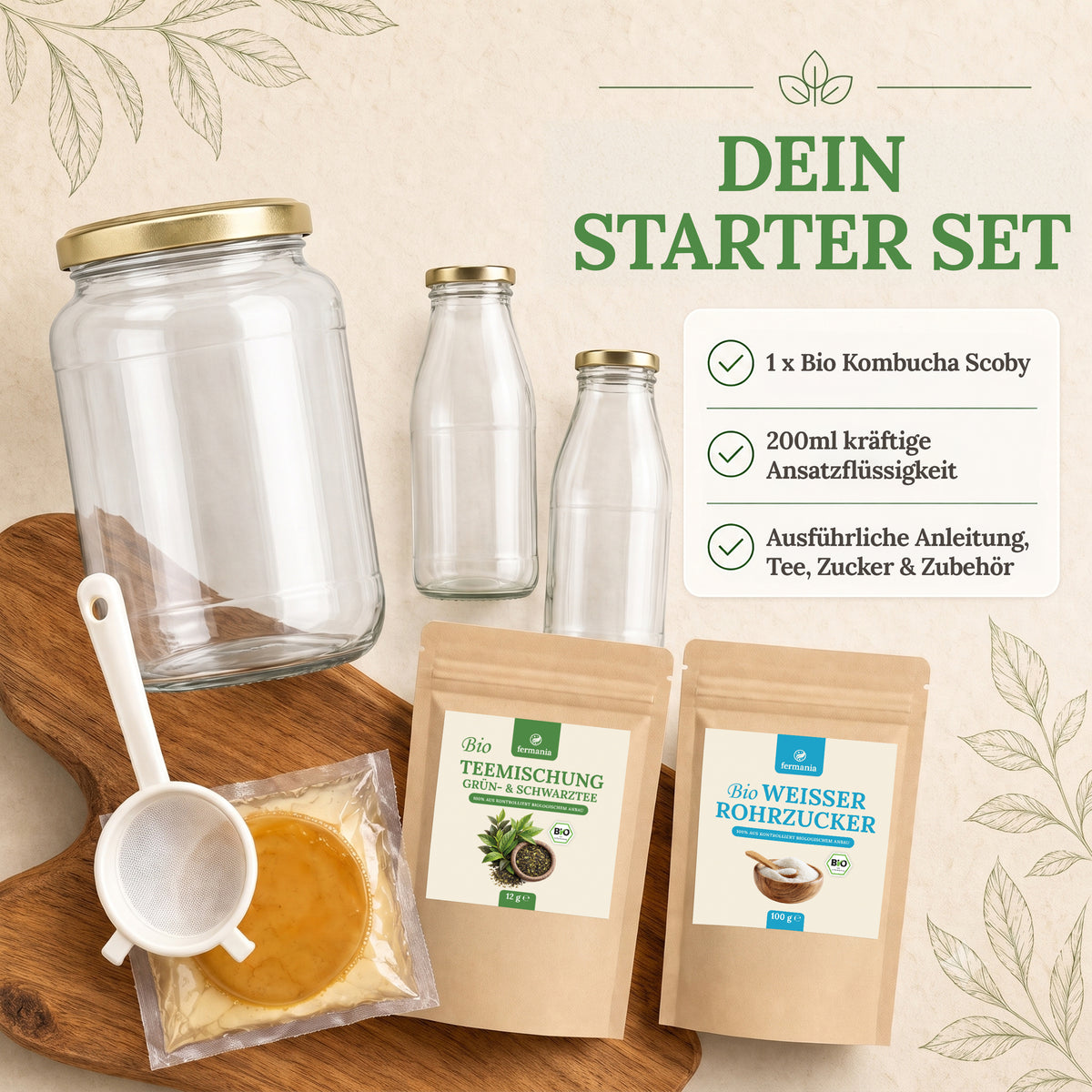 Kombucha Starter Set - selber machen mit Kombucha Teepilz (SCOBY) + Zubehör