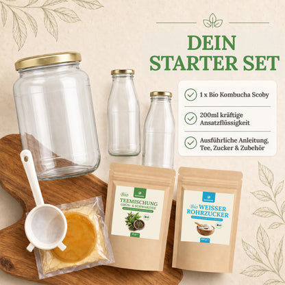 Kombucha Starter Set - selber machen mit Kombucha Teepilz (SCOBY) + Zubehör