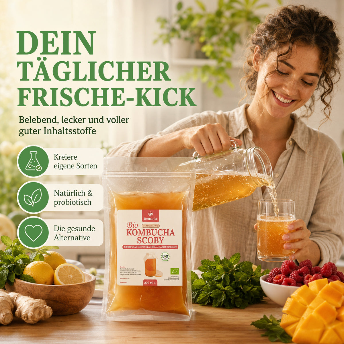 Kombucha Starter Set - selber machen mit Kombucha Teepilz (SCOBY) + Zubehör