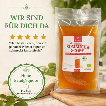 Kombucha Starter Set - selber machen mit Kombucha Teepilz (SCOBY) + Zubehör