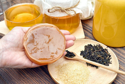 Kombucha Starter Set - selber machen mit Kombucha Teepilz (SCOBY) + Zubehör
