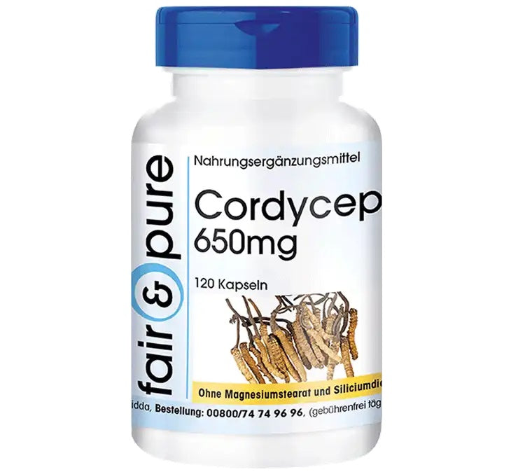 Cordyceps Kapseln – Natürliche Energie & Immunsystem-Unterstützung