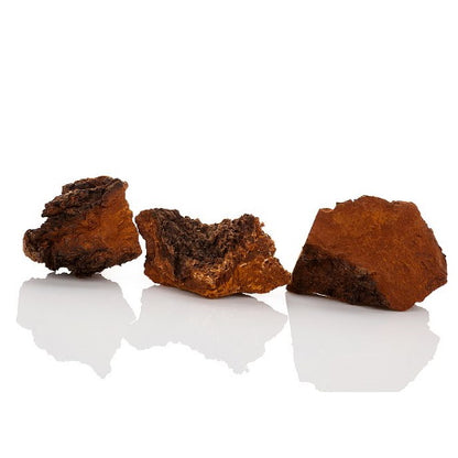 Chaga Softgel Kapseln | Vitalpilz aus Wildsammlung