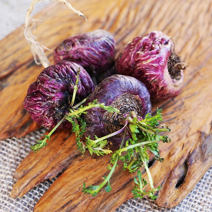 Rotes Maca Pulver aus Peru